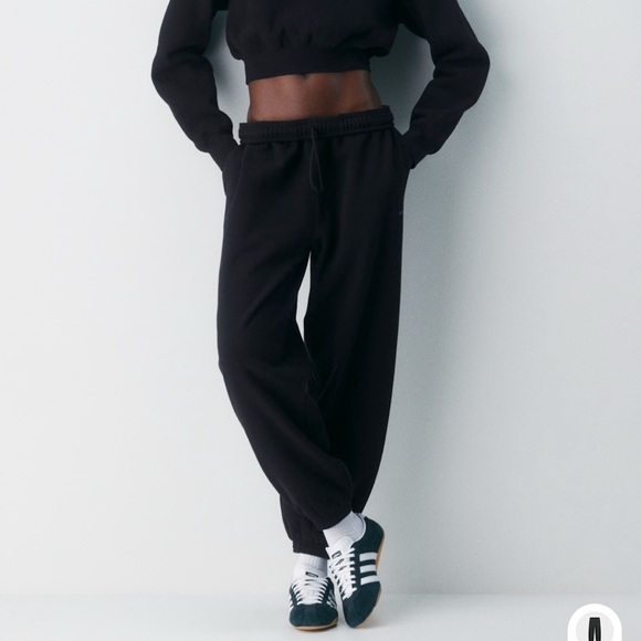 Aritzia Pants - TNA Cozy Mega Sweatfleece Joggers